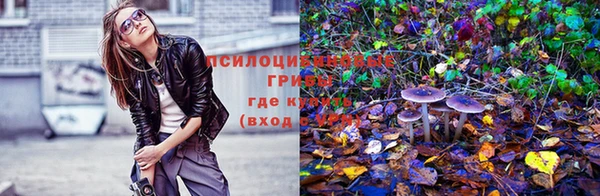 ешки Заволжье