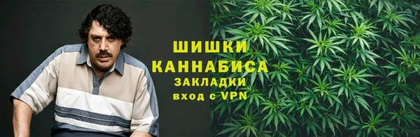 PSILOCYBIN Приозерск
